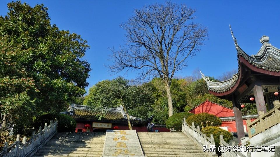 露智 第2页