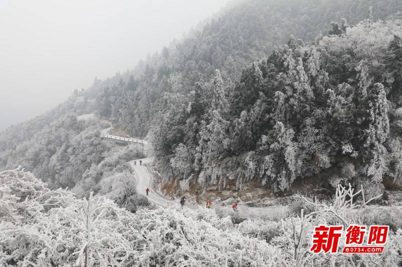 南岳衡山雾凇直播，探寻最早神秘面纱的旅程