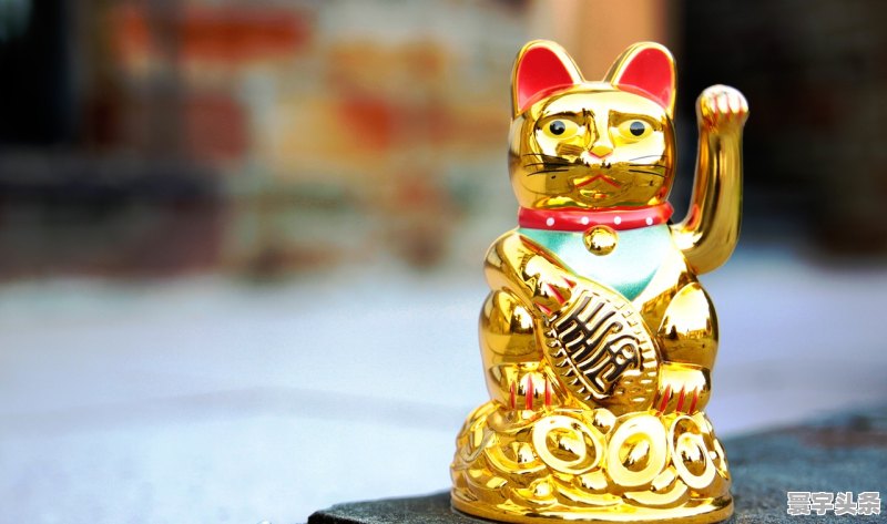 聚财猫早期情况深度探究