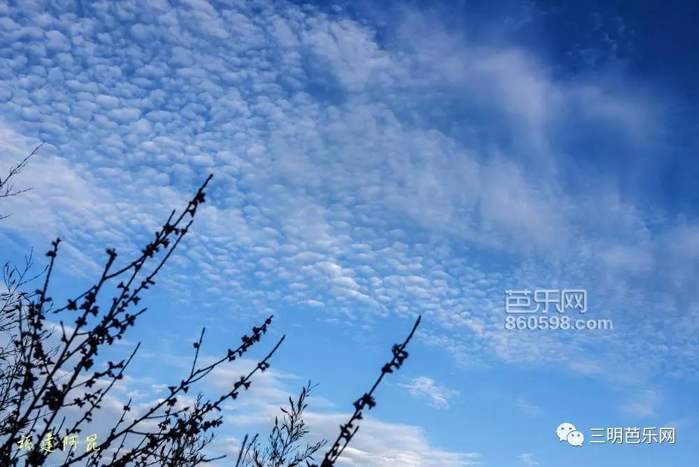 润野 第2页