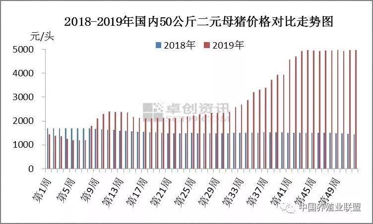 二元母猪价格动态分析，早期价格走势及影响因素探讨