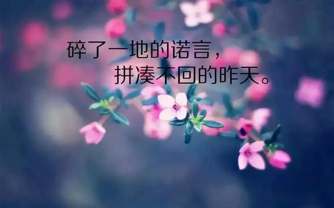 美图背后的故事与变迁，朋友圈早期的美图时代