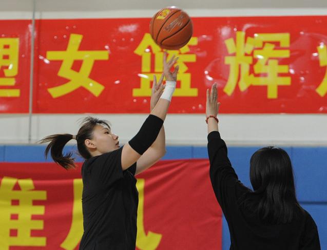 辽宁今日最新消息概览，最新消息及动态报道